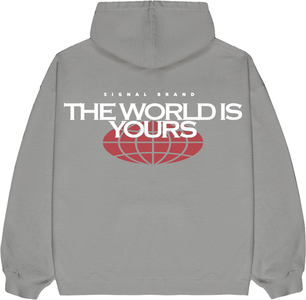 THE WORLD IS YOURS ICE GREY