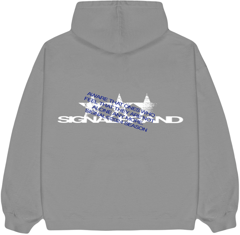 SEASON ICE GREY HOODIE