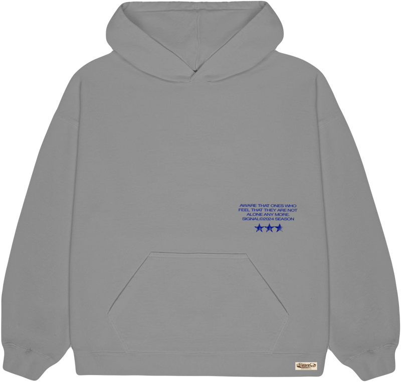 SEASON ICE GREY HOODIE